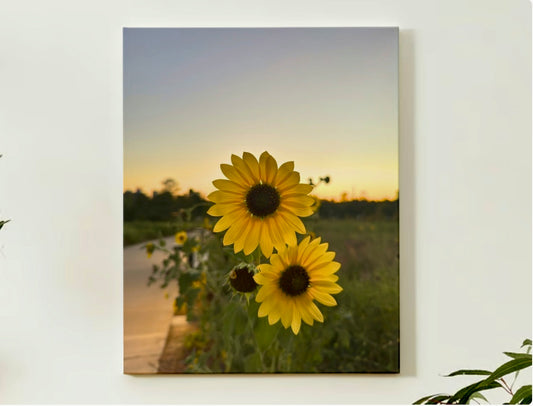 Sunflowers at Dawn Original Canvas